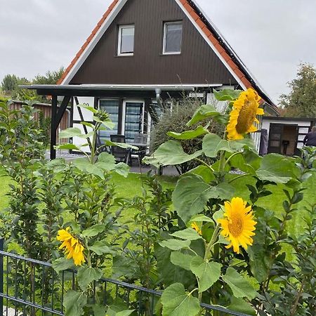Ferienhaus Kiebitz Dorumer Neufeld Exteriör bild
