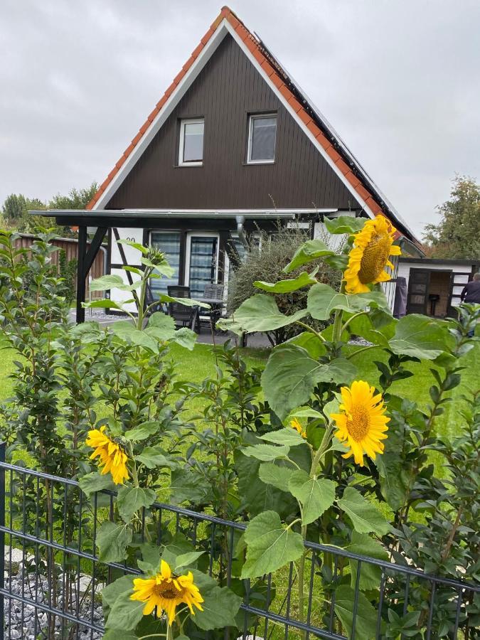 Ferienhaus Kiebitz Dorumer Neufeld Exteriör bild